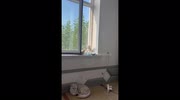 temp
