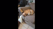 temp