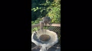 temp