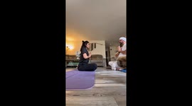 Dog urinates on yoga mat, ruining couple's moment of peace