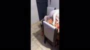 temp