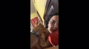 temp