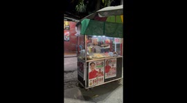 Stray cat caught eating chicken at food stall