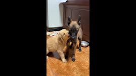 Tag-Team Fight Mode On