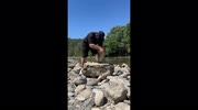 temp