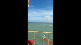 Australia's Great Barrier Reef stuns passing ship crew with its unique colour
