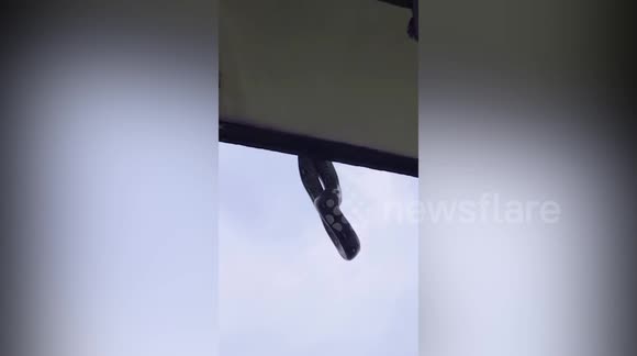 Python Falling From Roof Massive python on school roof shocks students and teachers - Buy, Sell ...