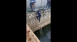 Firemen climb into canal to save stranded kitten