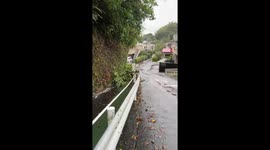 Japan: Typhoon Peipah Leaves Widespread Damage Across Prefectures