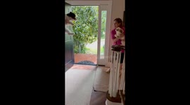 Puppy besties reunite in viral 1.5 million views ‘air swim’ playdate