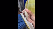 temp