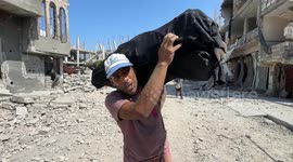 Palestinians return to 'safe zone' in Gaza's W. Khan Younis, find total destruction
