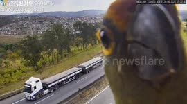 Parrot inspects motorway traffic camera in Brazil