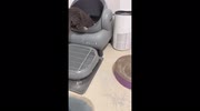 temp