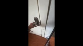 Dog leaves messy surprise at home in Beijing, China