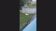 temp