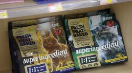 China: China's pet food market booms as young owners seek specialized nutrition