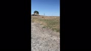 temp