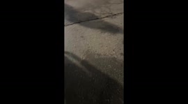 Broken Dollar Tree sign lights in Southgate, Michigan