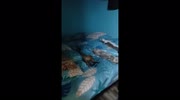temp