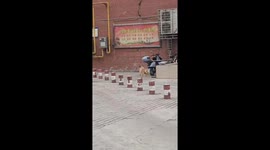 Joyful Pup: Jumping Over Rock Piles