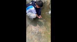 Tragic Tale: The Drowning Frog