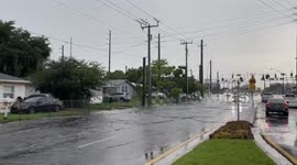 Heavy rain causes flooding on Stirling Road in Hollywood