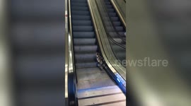 Stray cat rescued after taking wrong way up escalator at Istanbul’s Sabiha Gokcen Airport