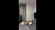 temp