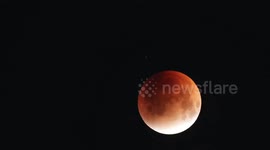 Total Lunar Eclipse Captured with Stellar Tracking Over Japan