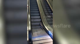 Türkiye: Stray cat rescued after taking wrong way up escalator at Istanbul’s Sabiha Gokcen Airport