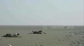 Police officers rescue elderly man trapped in wet sand
