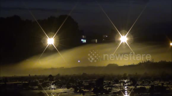 Foggy evening in the Netherlands