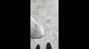 temp