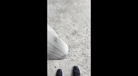 Carrying Two Pugs in a Bag