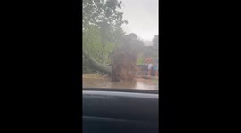 US: Storms Hit Western Massachusetts, Leave Damage Across Different Areas