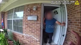 US: Blind Pet Pigeon Safely Reunited With Owner After Hitching Ride