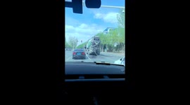 Cement mixer truck’s hose flails wildly on the road and sprays nearby car