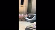 temp