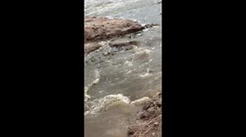 Abundant fish catch in Roque Pérez, Argentina