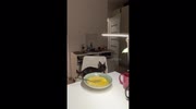 temp