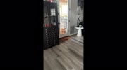temp