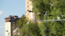 China: Courtyard tourism creates job opportunities for Xinjiang