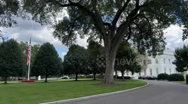 US: Flags lowered half-staff at White House to honor slain politician Charlie Kirk