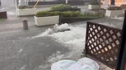 temp