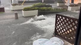 Japan: Torrential rain kills man in Tokyo, halts transport services