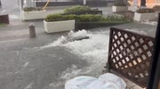 temp