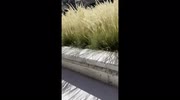 temp