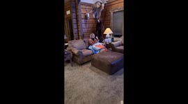 Funny joke about a deer with no eyes in Alaska, USA