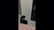 temp
